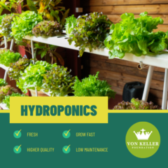 Hydroponics Advantages